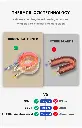 H1 (6).webp