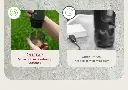 H4Bus_05.webp
