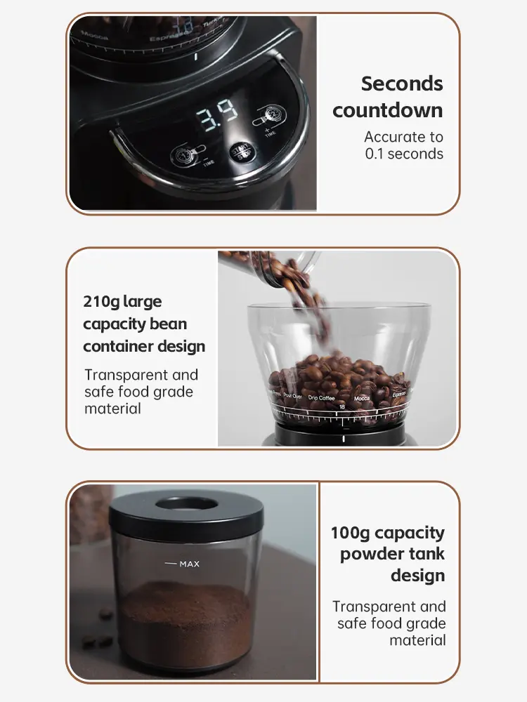 6.webp